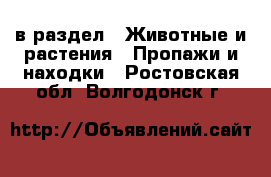  в раздел : Животные и растения » Пропажи и находки . Ростовская обл.,Волгодонск г.
